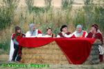 ampliar